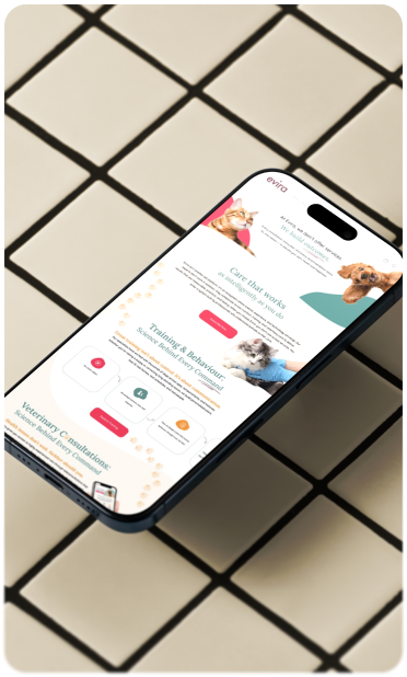 UI/UX